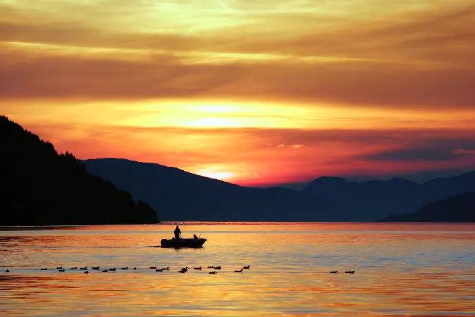 silhouette photography of person standing on boat