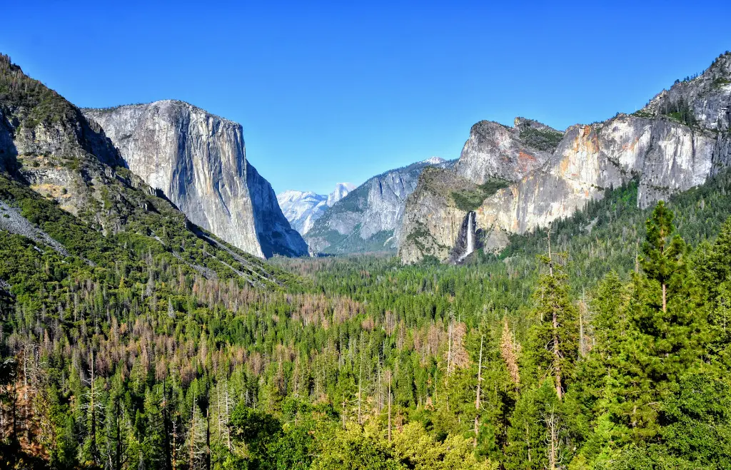 unsplash_vXQCvT6evmE_Yosemite Park.jpg.webp